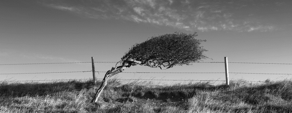 the uk weather bomb: a survival&nbsp;guide