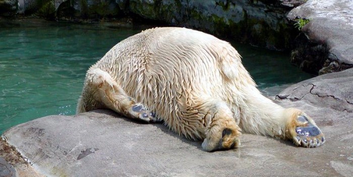 the myth of ‘casual drinks’: the third drink&nbsp;dilemma