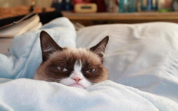 words of wisdom for people who can’t handle a cold (like&nbsp;me)